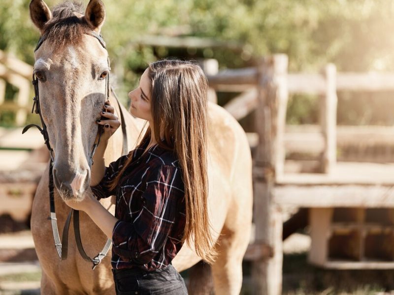 Jak odpowiednio nagradzać swojego konia – przegląd zdrowych przysmaków